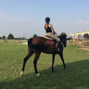 Meet your Posher, Victoria